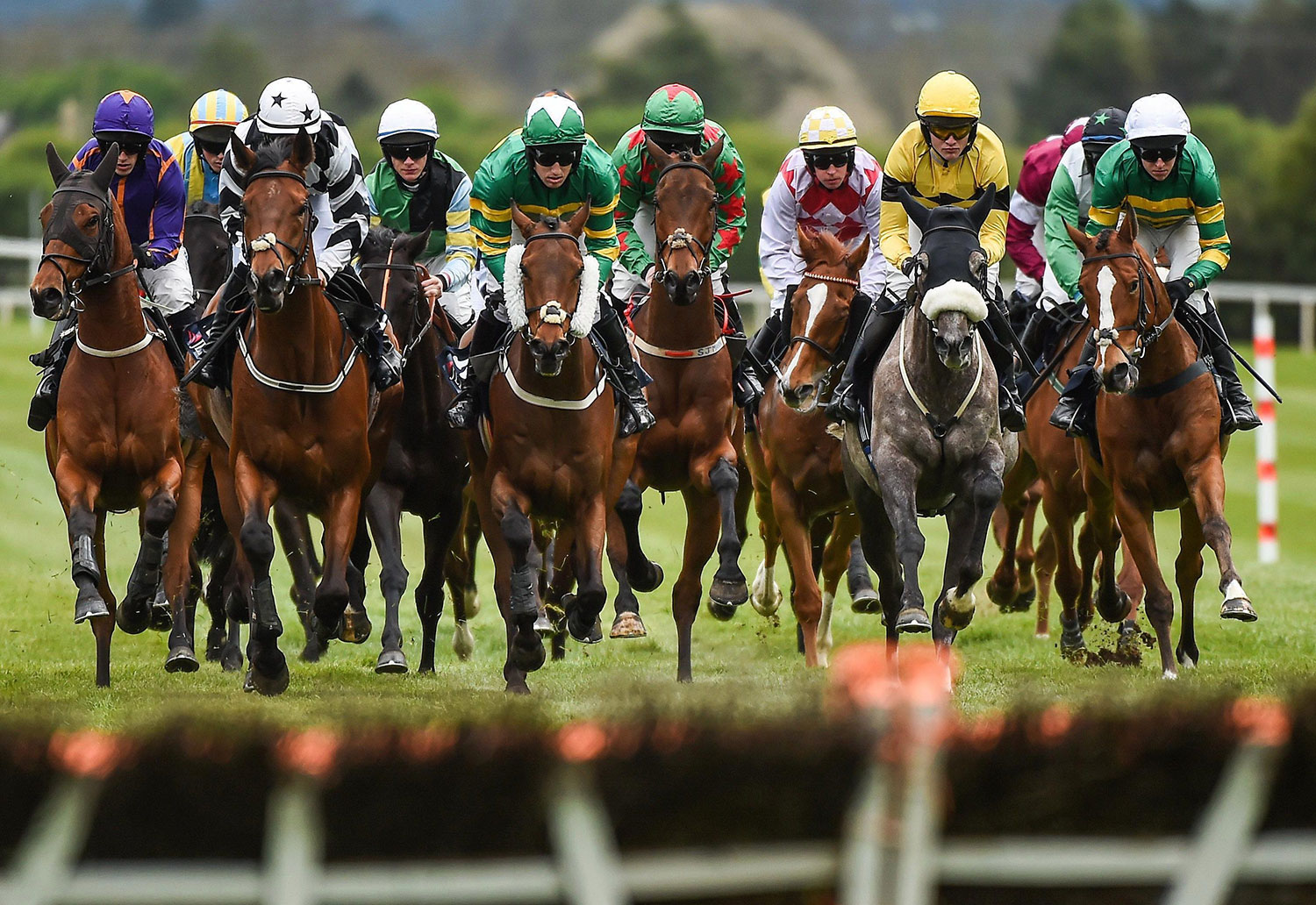 Horse Betting